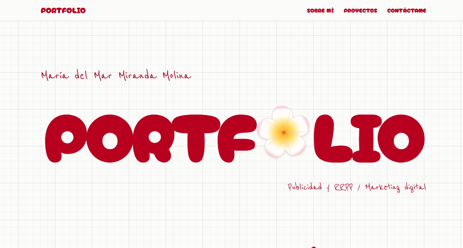 Portfolio Marketing